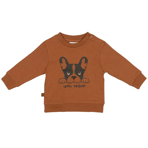 Frogs and Dogs - Sweater "Loyal Friend" in Haselnuss