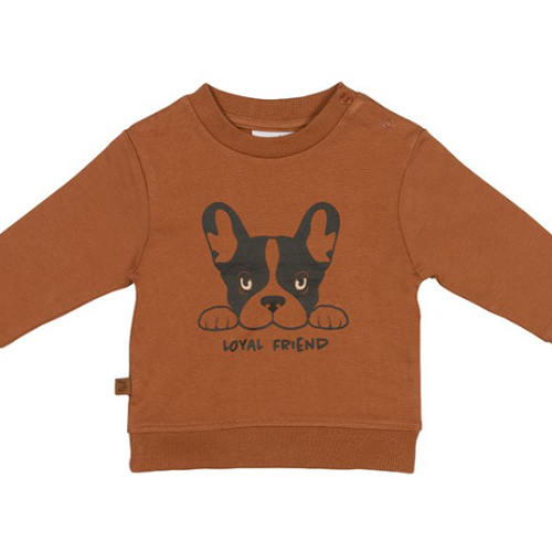 Frogs and Dogs - Sweater "Loyal Friend" in Haselnuss