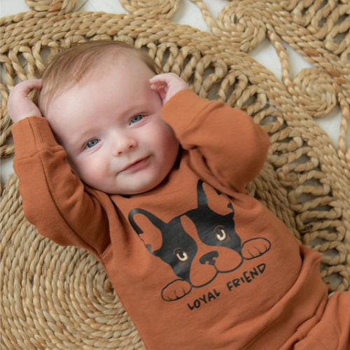 Frogs and Dogs - Sweater "Loyal Friend" in Haselnuss