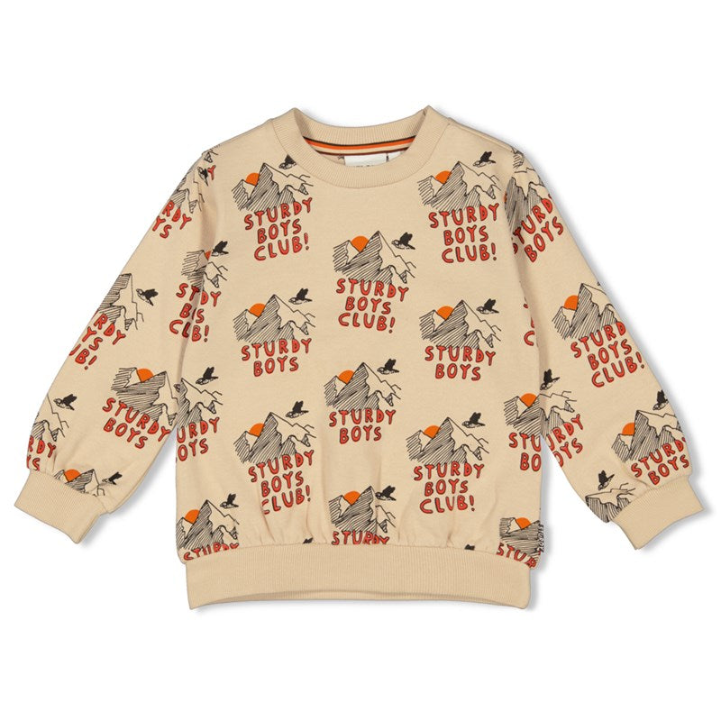 Cooler Pulli mit Bergen in beige für Jungs von Sturdy