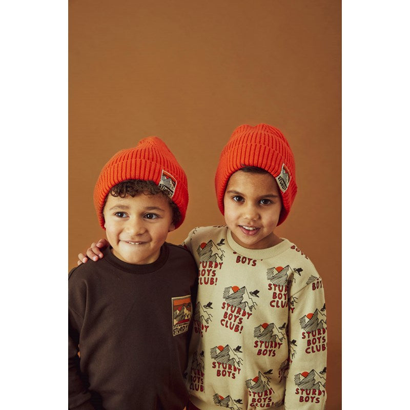 Cooler Pulli mit Bergen in beige für Jungs von Sturdy und die coole rote Mütze