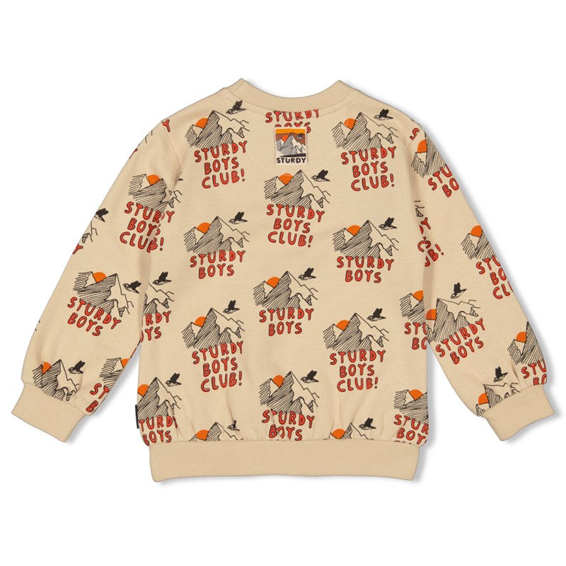 Cooler Pulli mit Bergen in beige für Jungs von Sturdy