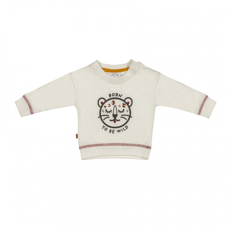 Frogs and Dogs Pulli "born to be wild"