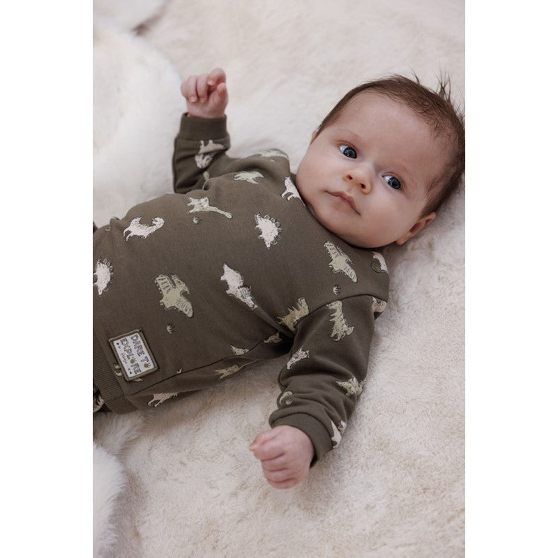 Hochwertiger Sweater in Olivgrün mit Dinosaurier All Over Print aus Bio-Baumwolle 