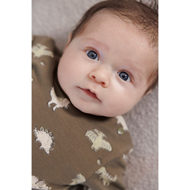 Hochwertiger Sweater in Olivgrün mit Dinosaurier All Over Print aus Bio-Baumwolle 