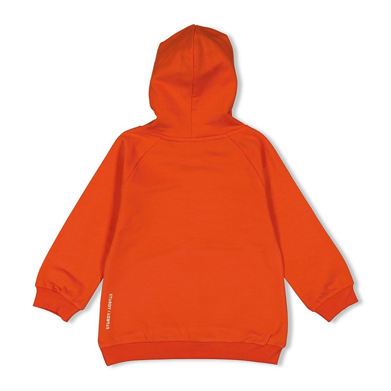 Cooler Hoody in Orange aus Bio Baumwolle 
