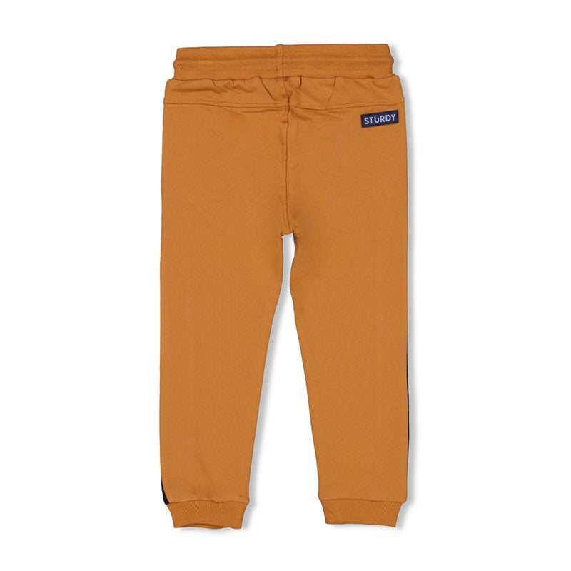 Hochwertige Hose aus Bio Baumwolle in Haselnuss 