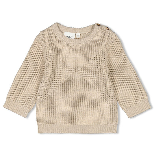 Schöner Strickpulli mit Muster und Rundhalsausschnitt